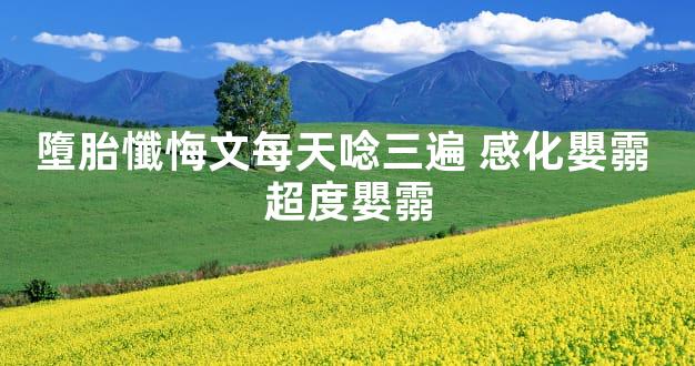 墮胎懺悔文每天唸三遍 感化嬰霛 超度嬰霛